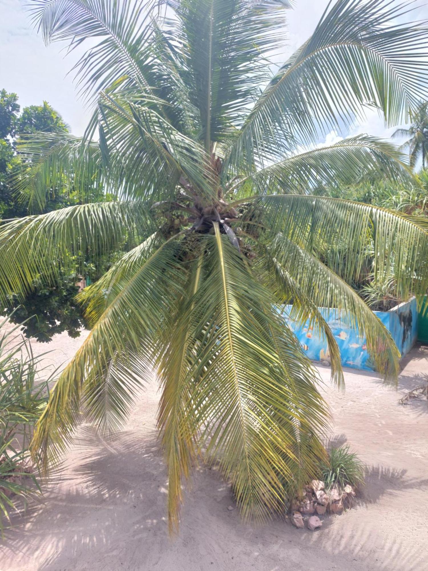 Princess Of Zanzibar Michamvi Exterior foto